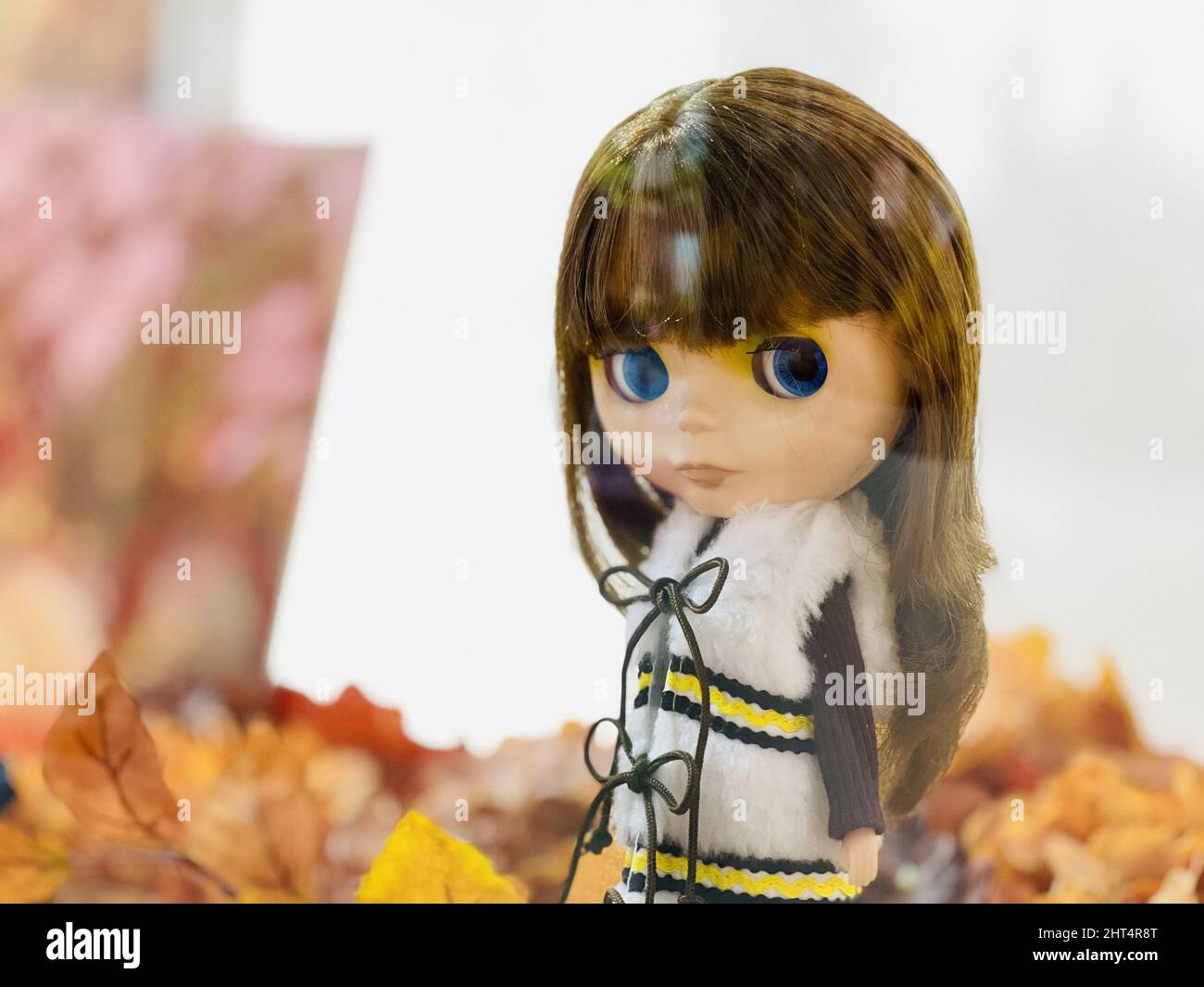 Nahaufnahme einer schönen Puppe auf dem Herbstlaub Hintergrund Stockfoto