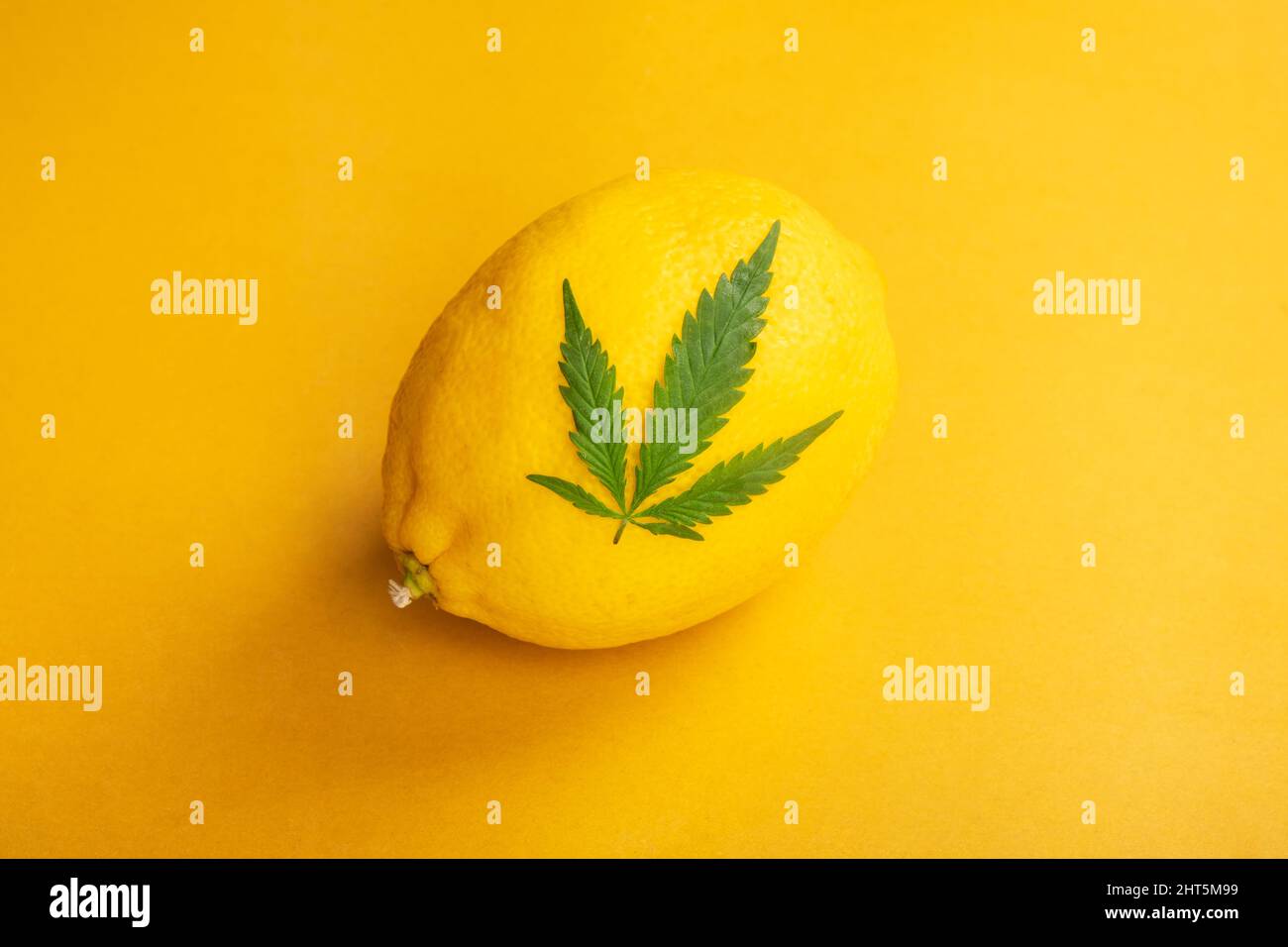 Zitrone und Cannabisblatt auf gelbem Hintergrund. Marihuana süßes Terpene. Stockfoto
