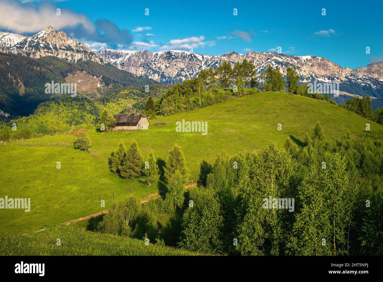 Schöne ländliche Landschaft, grüne Felder und Wälder mit schneebedeckten Bergen im Hintergrund, Bucegi Berge, Moieciu de Sus, Rumänien, Europa Stockfoto