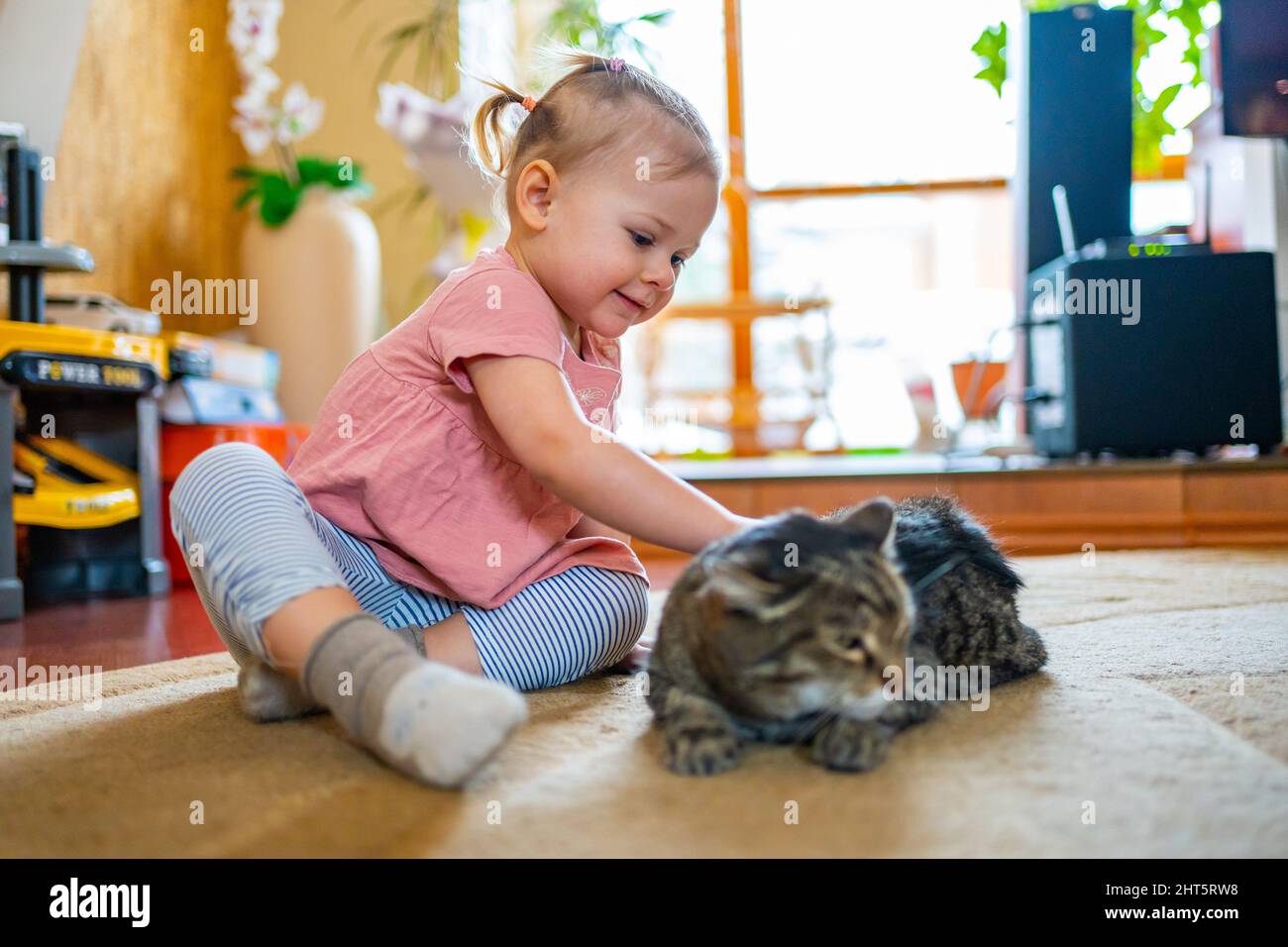 Niedlich liebenswert Baby spielen sie tabby unglückliche Katze. Haustiere in der Wohnung mit Kindern. Kinder und Haustiere. Heimtiere. Stockfoto
