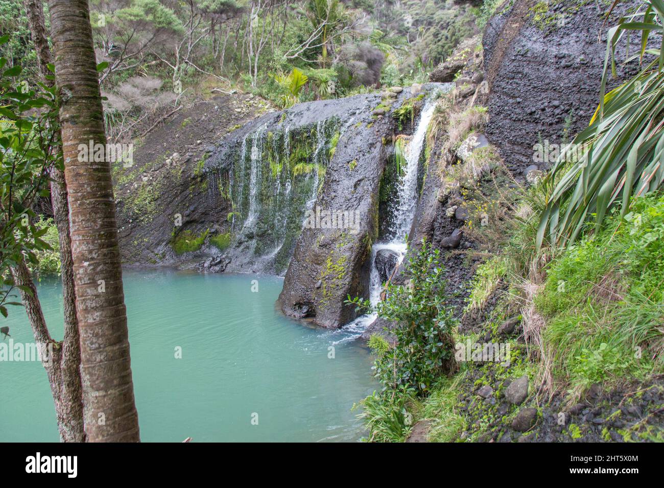 Der Blick auf die Wainamu oder Waitohi Wasserfälle, Neuseeland. Stockfoto
