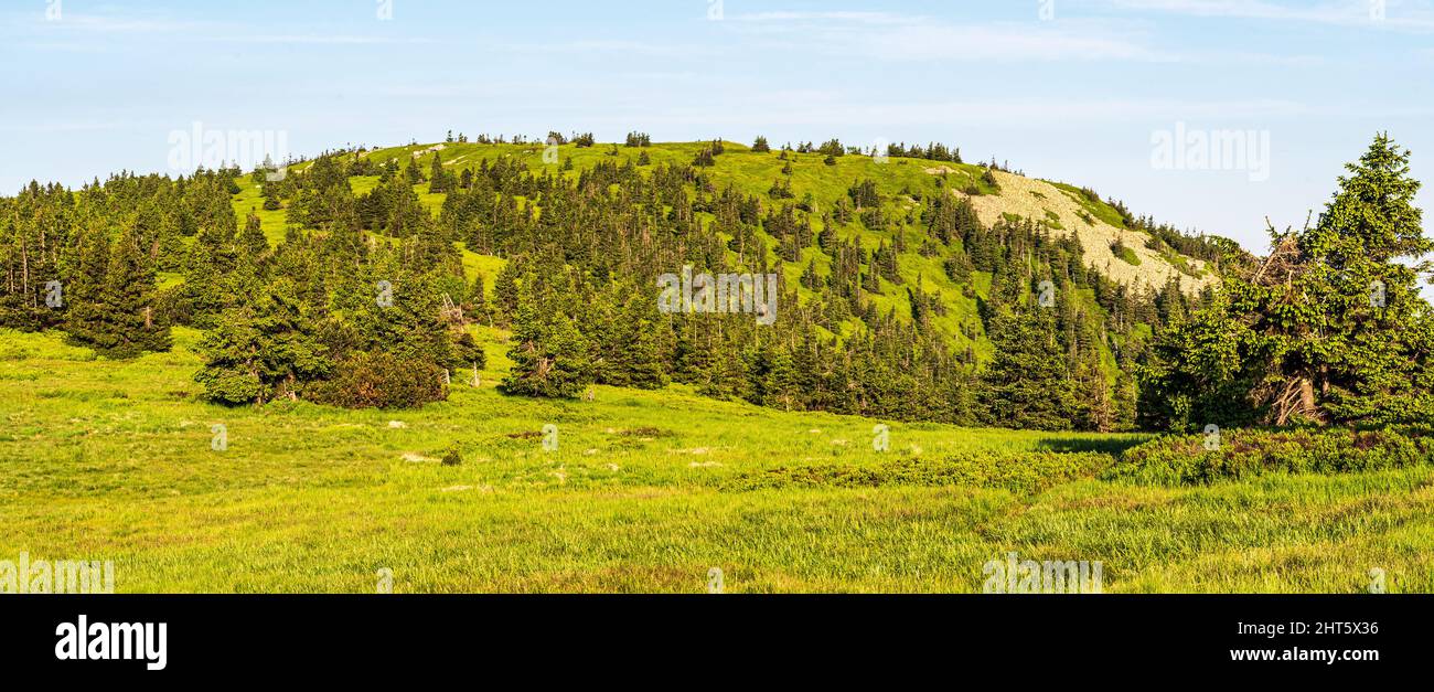 Der Hügel Bridlicna hora oberhalb von Jeleni studanka mit riesigem Felsenmeer im tschechischen Jeseniky-Gebirge Stockfoto