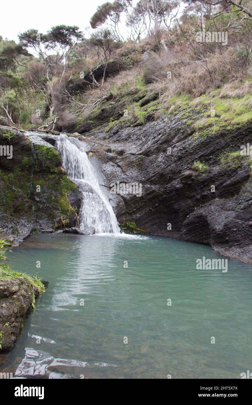 Der Blick auf die Wainamu Wasserfälle, Neuseeland. Stockfoto