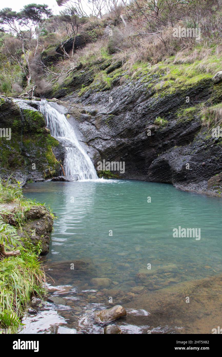 Der Blick auf die Wainamu Wasserfälle, Neuseeland. Stockfoto