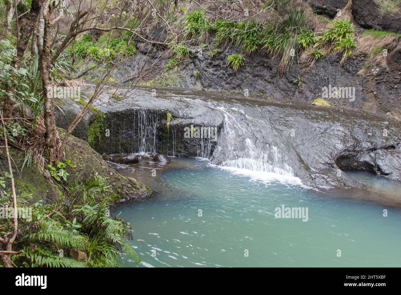 Der Blick auf die Wainamu Wasserfälle, Neuseeland. Stockfoto
