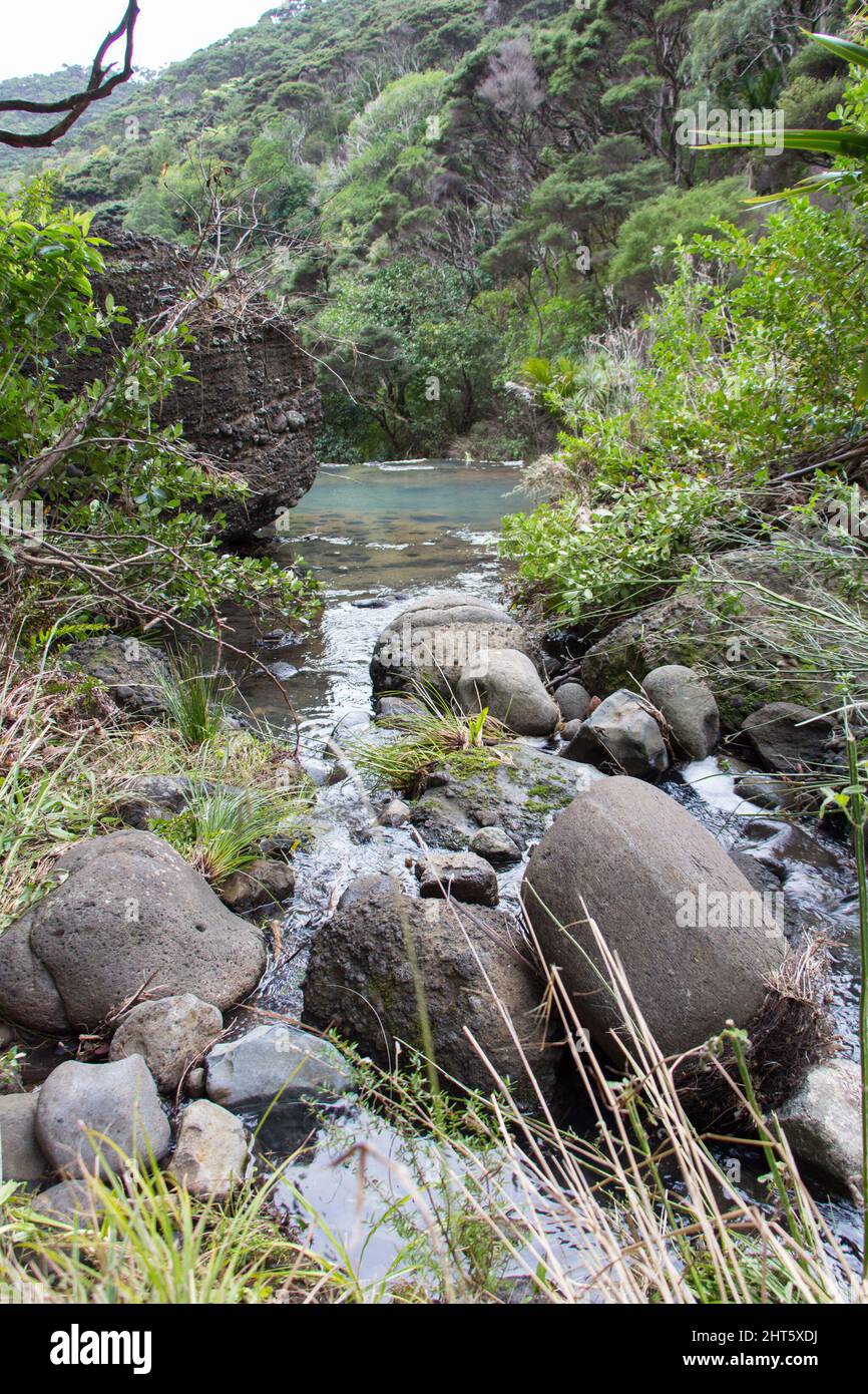 Der Blick auf die Wainamu Wasserfälle, Neuseeland. Stockfoto