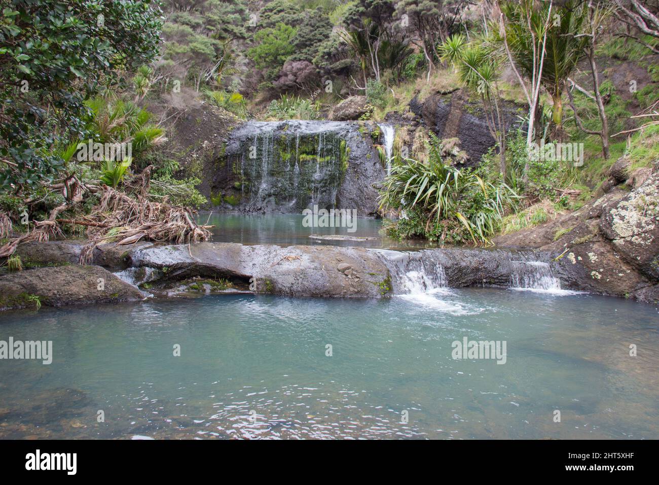 Der Blick auf die Wainamu Wasserfälle, Neuseeland. Stockfoto