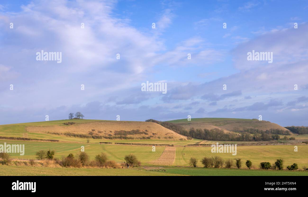 Am Fuße des Battlebury Hillfort in der Nähe von Warminster in Wiltshire im Südwesten Englands mit Blick auf Middle Hill und Scratchbury Hillfort Stockfoto