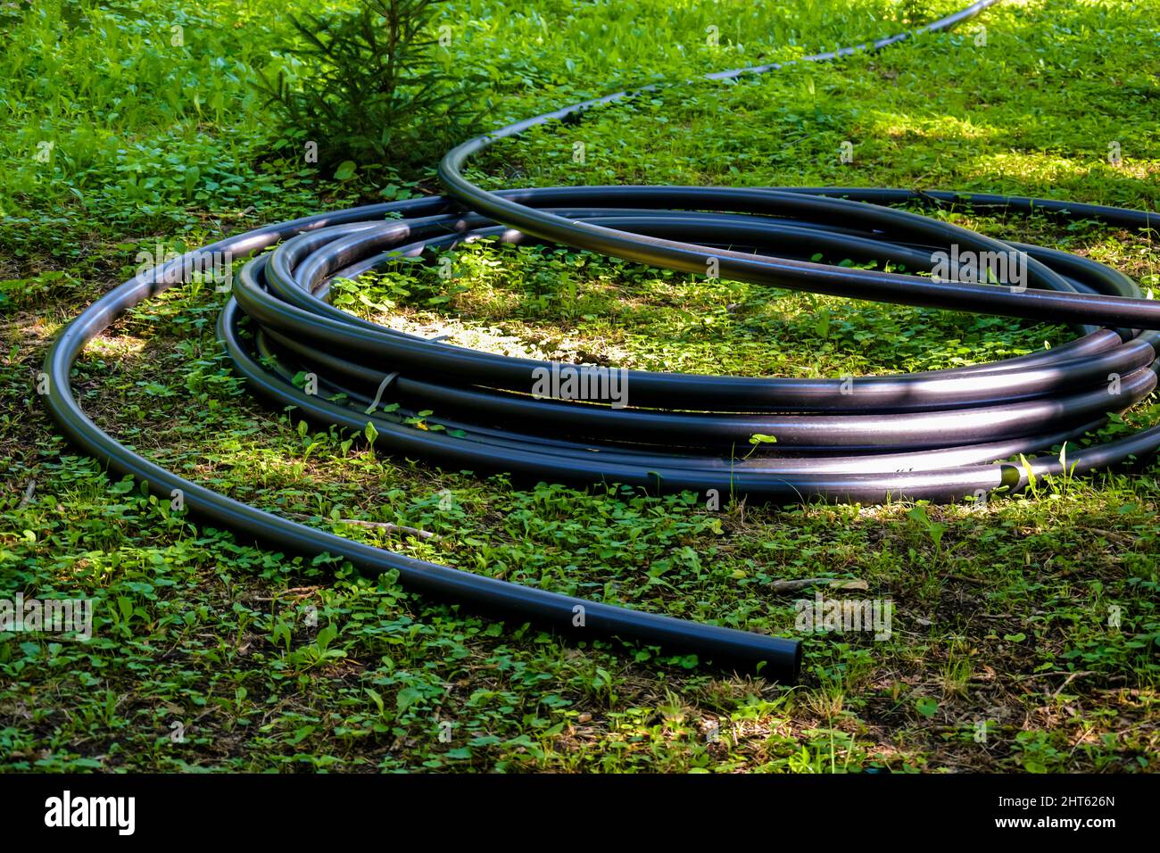 PVC-Wasserrohr wird in großen Ringen auf grünem Gras aufgerollt. Vorarbeiten für die Verlegung von Wasserleitungen. Selektiver Fokus. Stockfoto