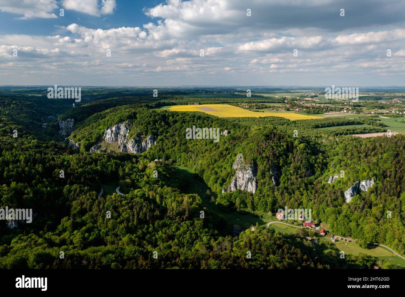 Ojcowski-Nationalpark, Frühjahrs-Drohne-Luftaufnahme des Dorfes Ojcow und Felsen im Pradnik-Tal bei Krakau (Krakau), aufgenommen im Mai. Okopy Mountain, Koron Stockfoto