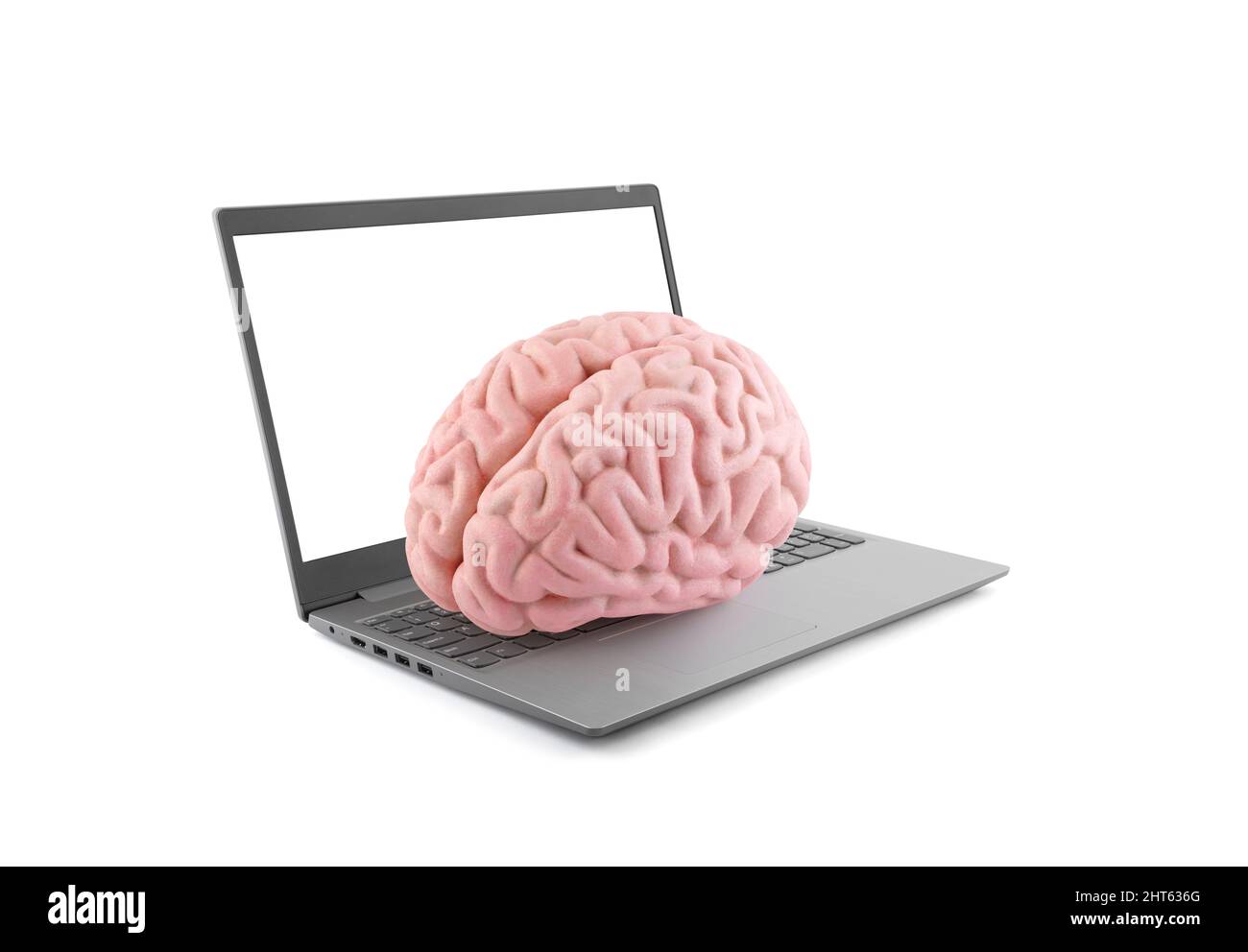 Menschliches Gehirn auf Laptop isoliert auf weißem Hintergrund Stockfoto