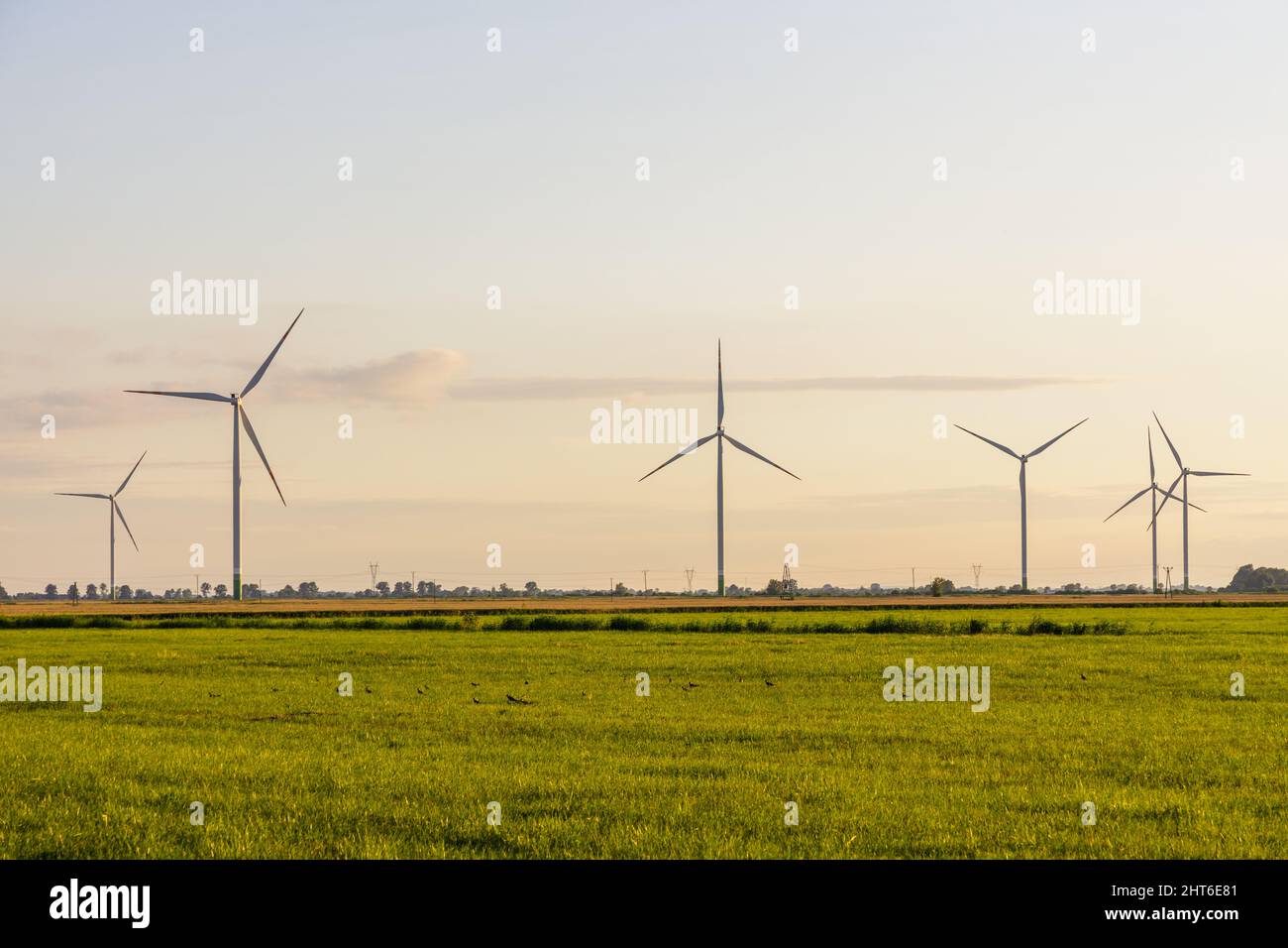 Windmühle auf grüner Wiese, grüne Energieerzeugung mit Windkraft Stockfoto