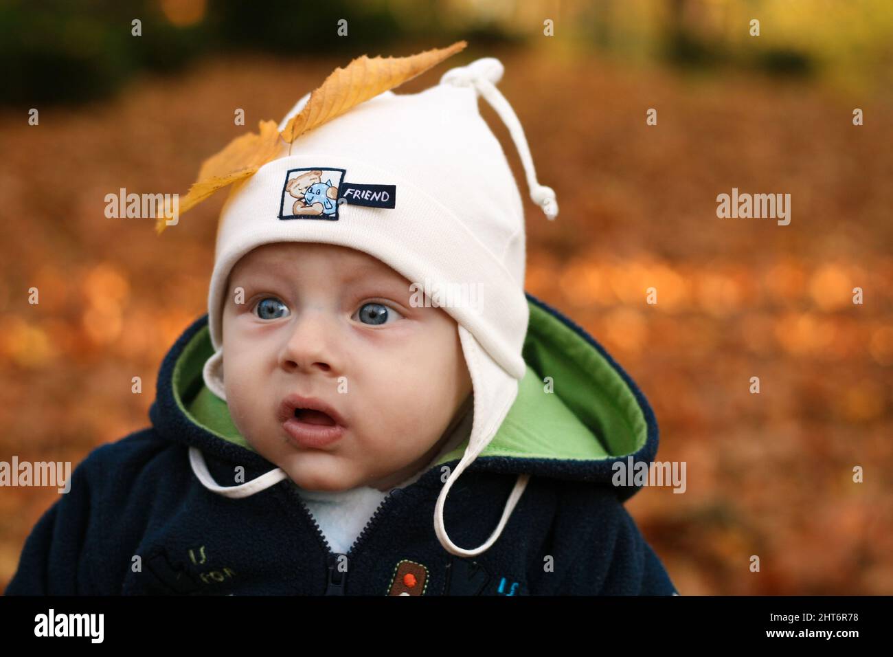 Fünf Monate alter Junge mit gelbem Blatt in der Mütze starren im Herbst neugierig im Park Stockfoto