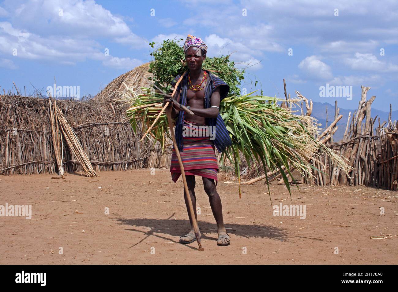 Arbore Tribe Man Trägt Getreide Stockfoto