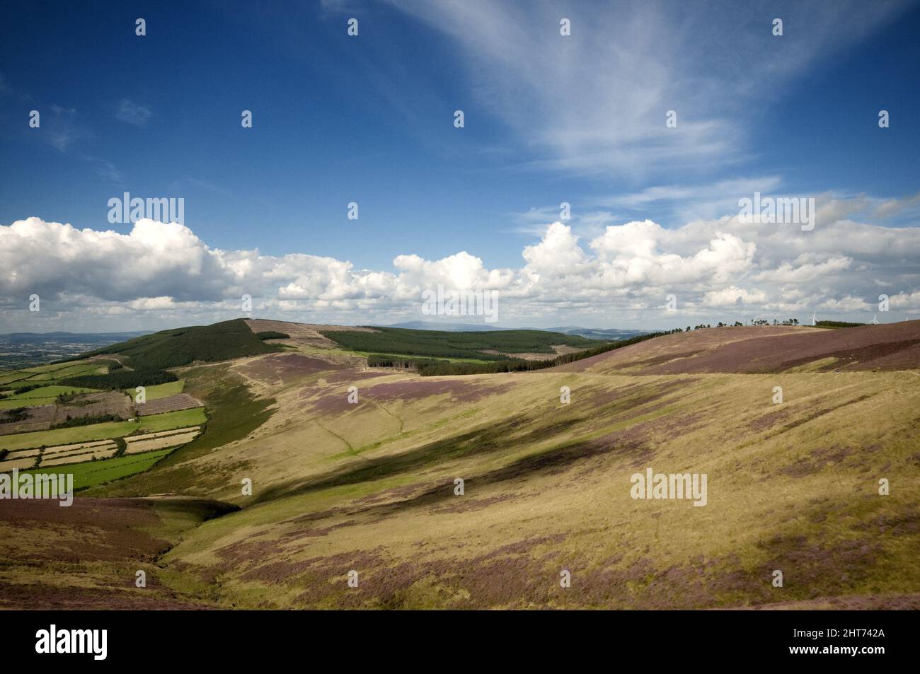 Corrarut Gap, Mount Leinster, County Carlow, Irland. Stockfoto