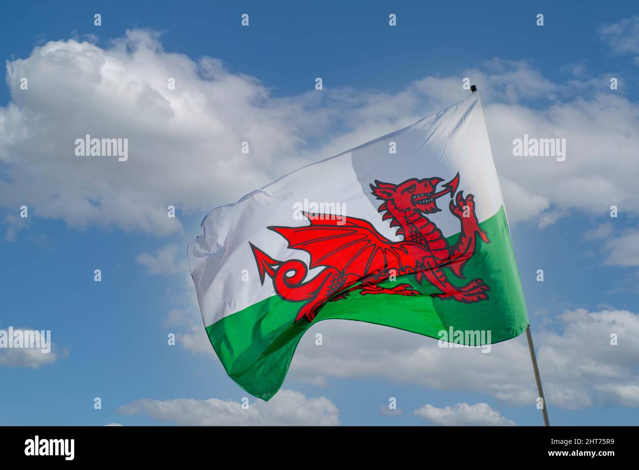 walisische Flagge weht im Wind St Davids Day wales Stockfoto