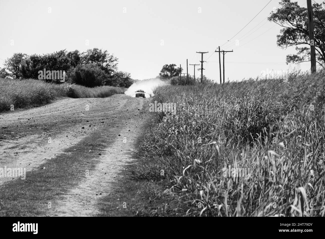 Graustufen eines Autos auf einem Feld Stockfoto