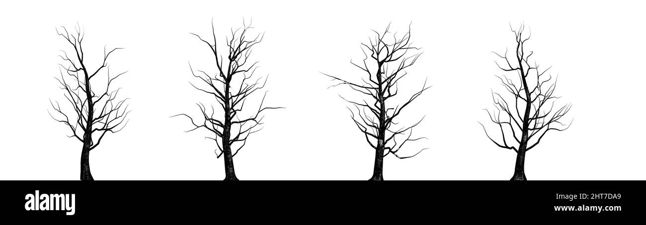 Silhouette verschiedener Bäume vor weißem Hintergrund Stockfoto