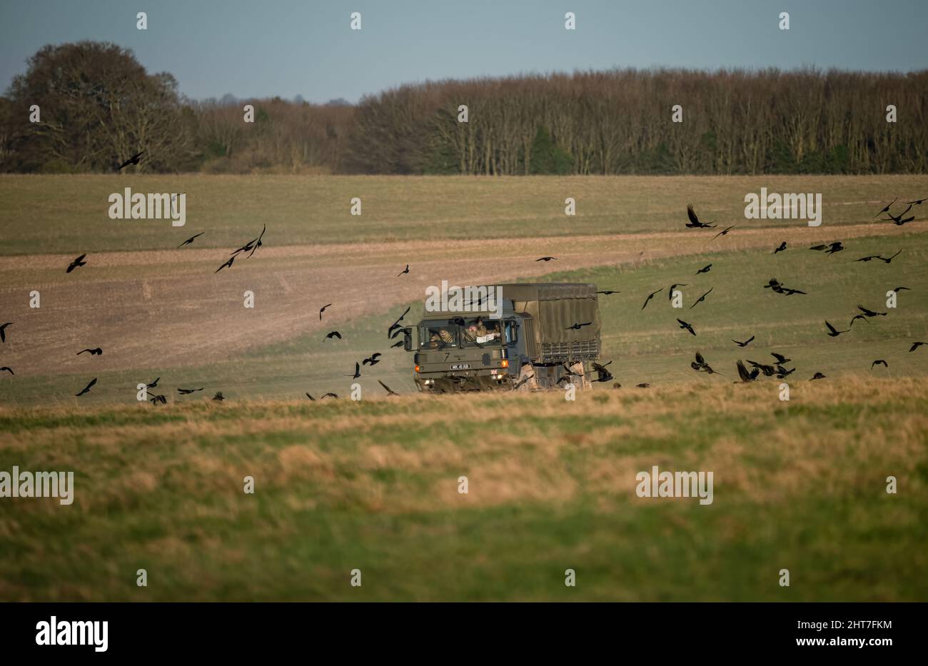 British Army MAN SV 4x4 Utility Trucks 4x4 Fahrzeuge in Aktion auf einer militärischen Kampftraining Übung, Wiltshire UK Stockfoto