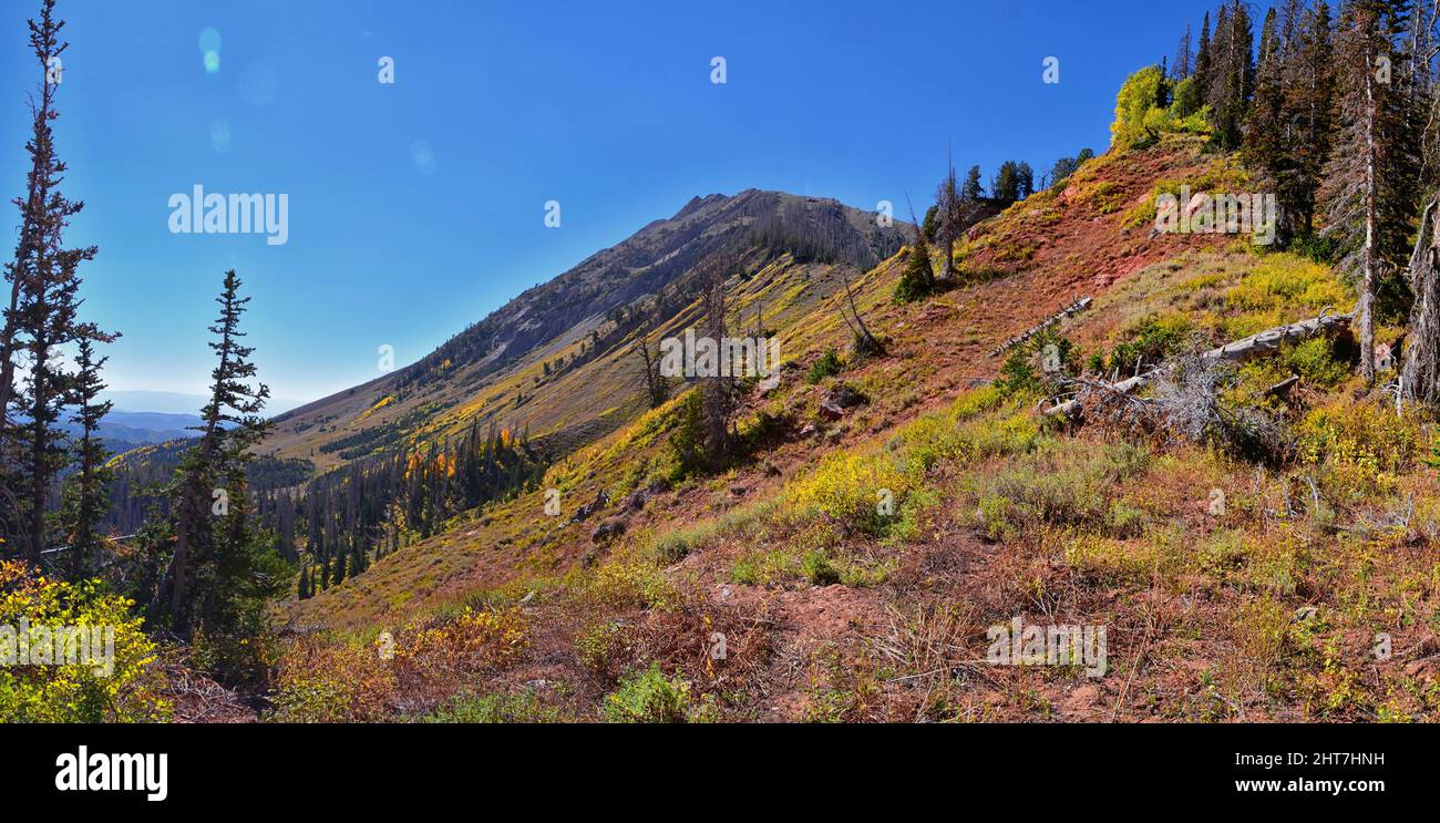 Blick vom Wanderweg auf den Mount Nebo Wilderness Peak 11.933 Meter, Herbstlaub-Panorama, höchster Punkt in der Wasatch Range von Utah, Uinta National Forest, Stockfoto