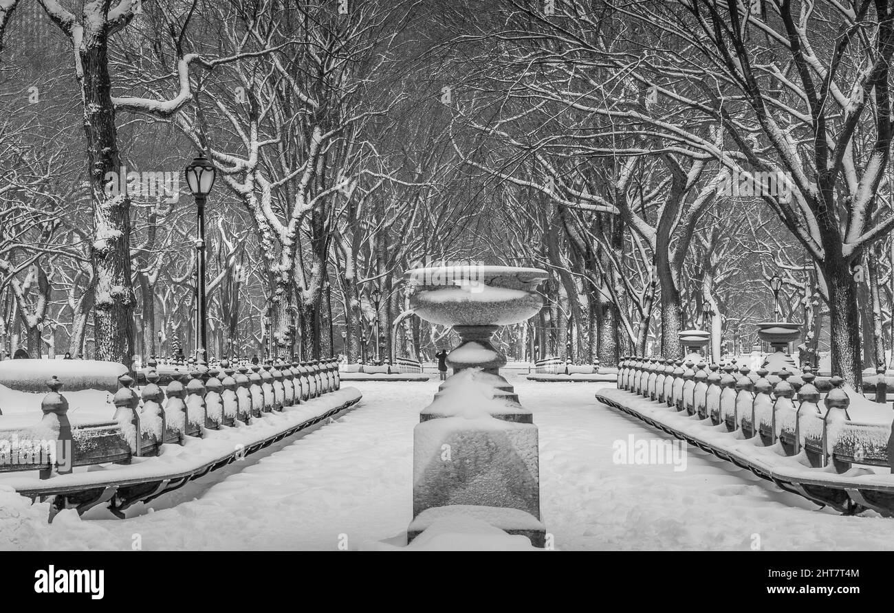 Die New York City Central Park Mall ist mit weißem Schnee bedeckt Stockfoto