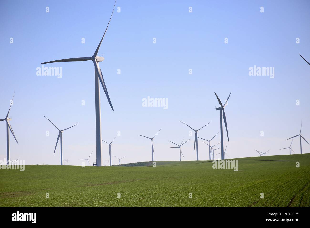 Ein kalifornisches Windkraftwerk Stockfoto