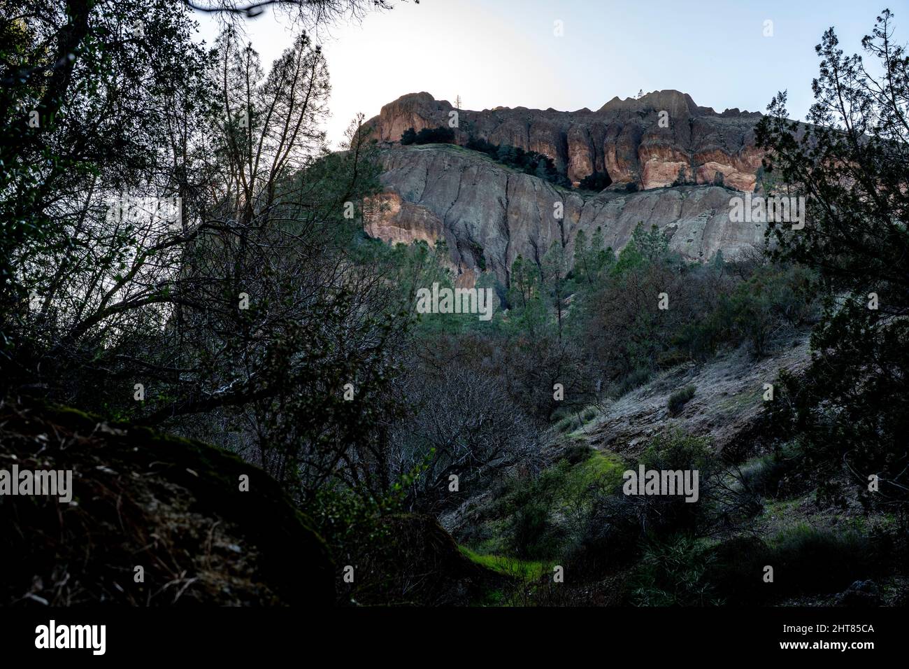 Naturlandschaft aus dem Pinnacles National Park Stockfoto