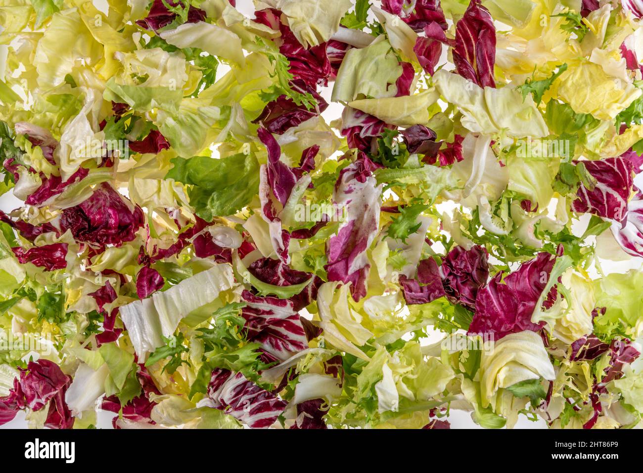 Gemischter Salat-Hintergrund, Blattsalat, Frisee, Lammsalat und Radicchio in der Draufsicht, Bannerstruktur Stockfoto