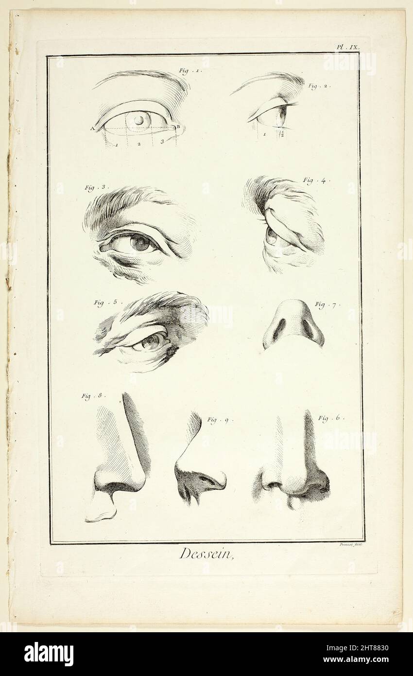 Design: Gesichtsanatomie aus Encyclop&#xe9;die, 1762/77. Stockfoto