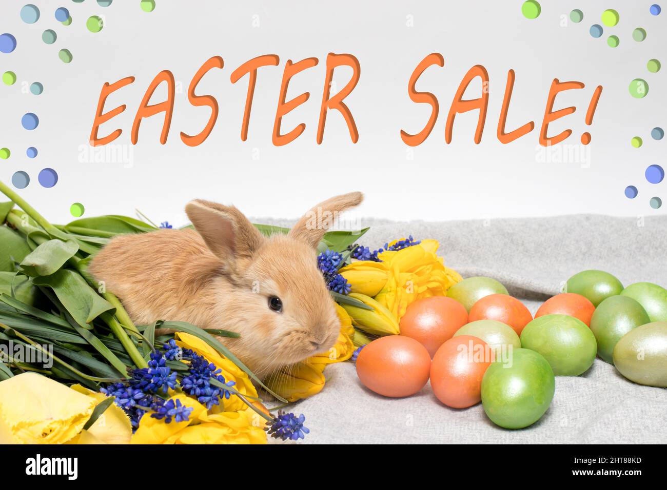 Kaninchen und bemalte Eier mit dem Text Osterverkauf auf einem hellen Hintergrund. Stockfoto