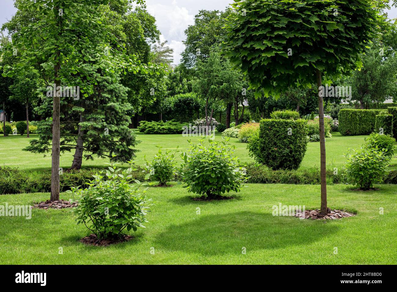 Stadtpark mit Gartenlandschaft mit Bäumen und Sträuchern mit Mulch auf einer Wiese mit grünem Rasen Gras an einem sonnigen Tag bei schönem Wetter, niemand. Stockfoto