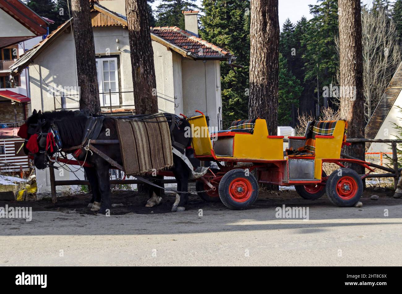Alte traditionelle Kutsche mit Pferd wartenden Kunden, Borovets Resort, Rila Berg, Bulgarien Stockfoto