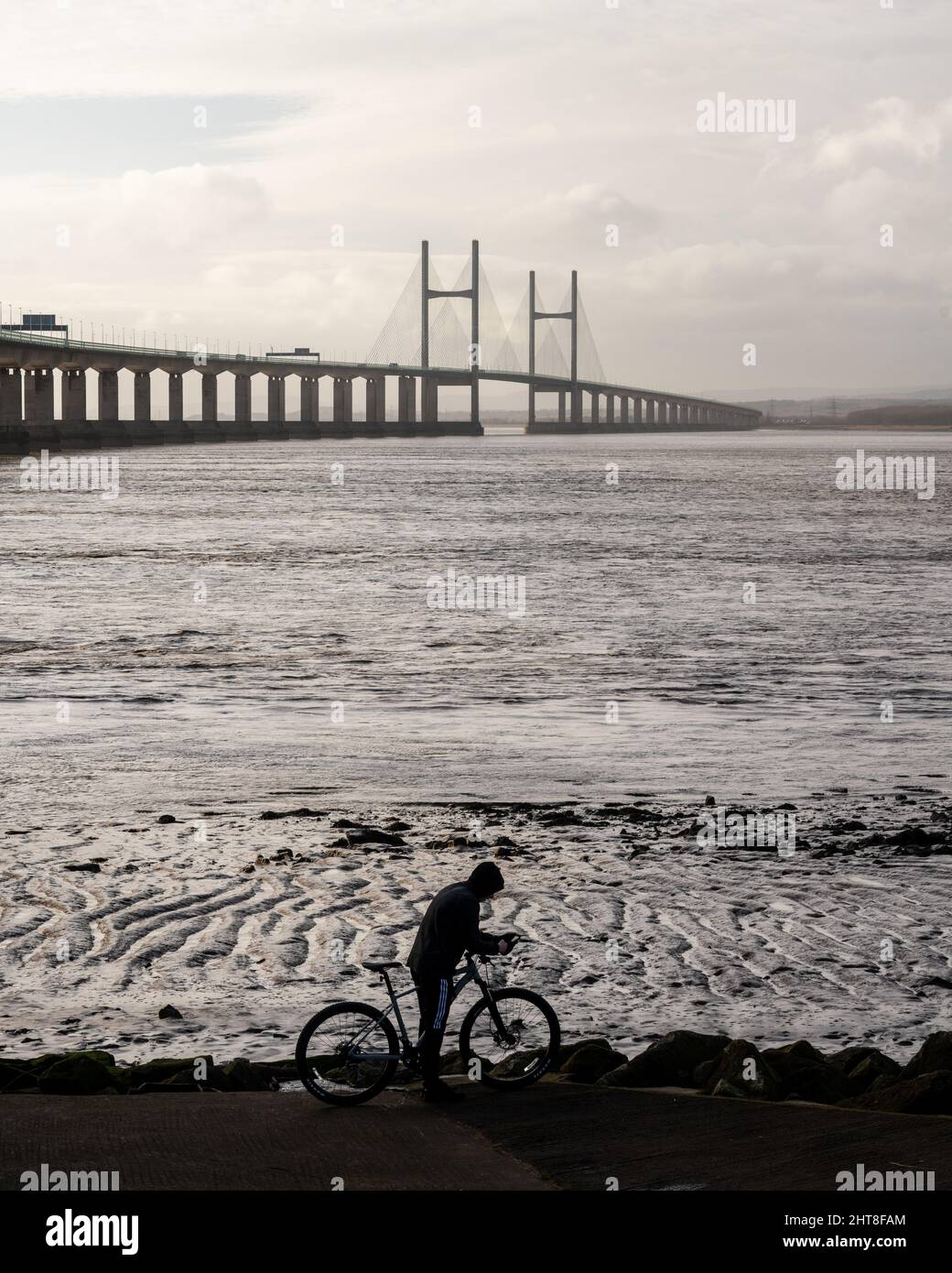Ein Radfahrer hält auf dem Strandweg am Severn Beach inne, hinter der zweiten Severn Crossing-Brücke. Stockfoto