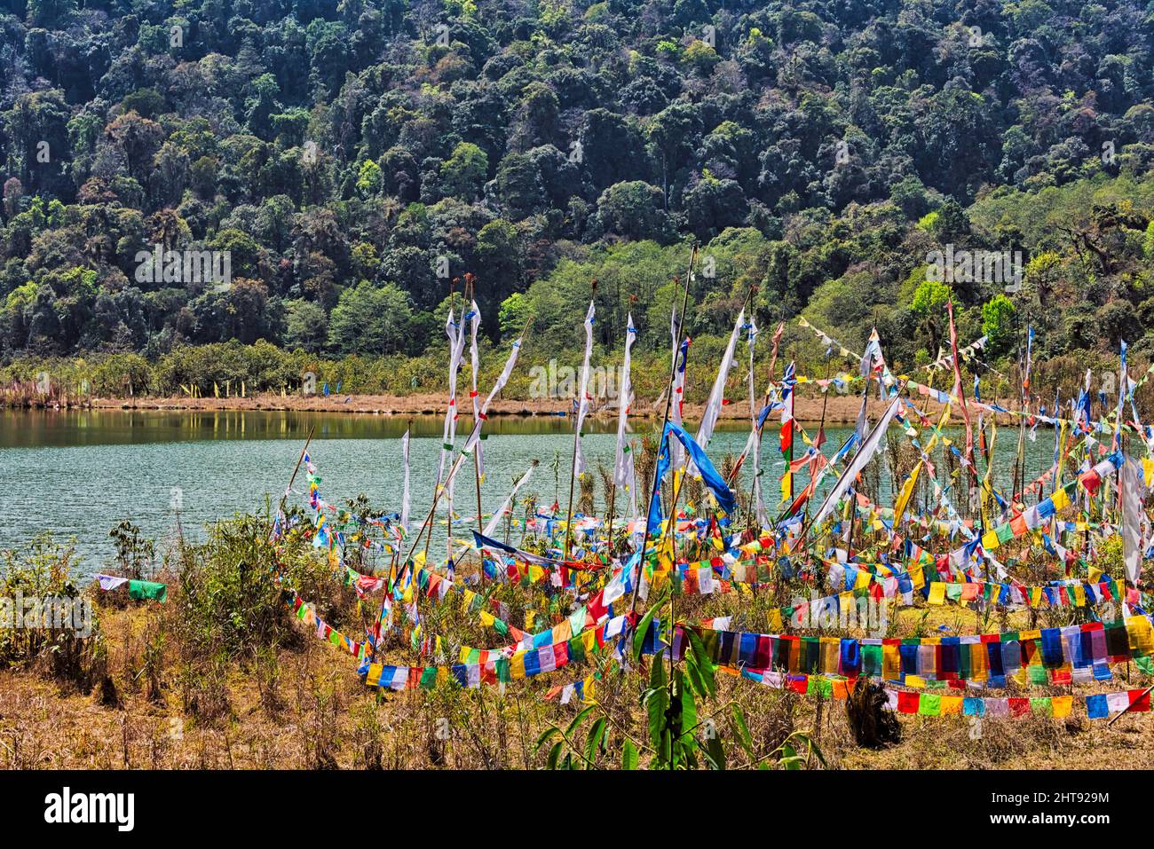 Prayer flags on the shore of Khecheopalri Holy Lake, West Sikkim, India Stockfoto