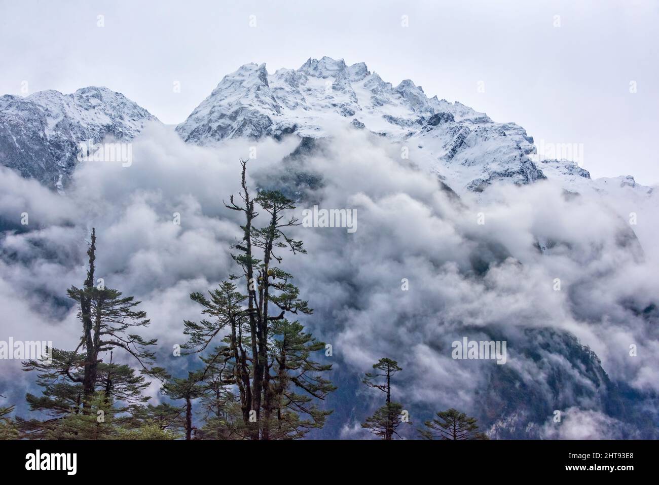 Berg bedeckt mit Nebel, Lachung, Sikkim, Indien Stockfoto