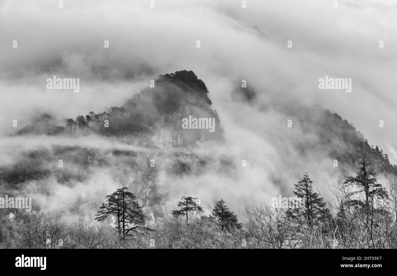 Berg bedeckt mit Nebel, Lachung, Sikkim, Indien Stockfoto