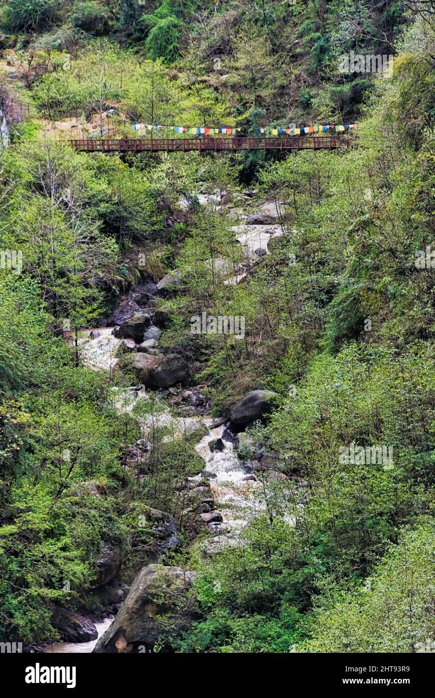 Hängebrücke und Fluss im Bergtal, Lachung, Sikkim, Indien Stockfoto