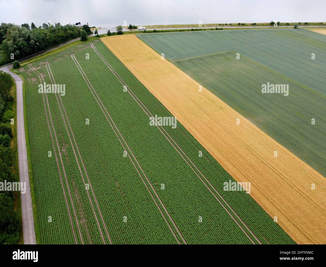Luftaufnahme von landwirtschaftlich genutzten Feldern Stockfoto