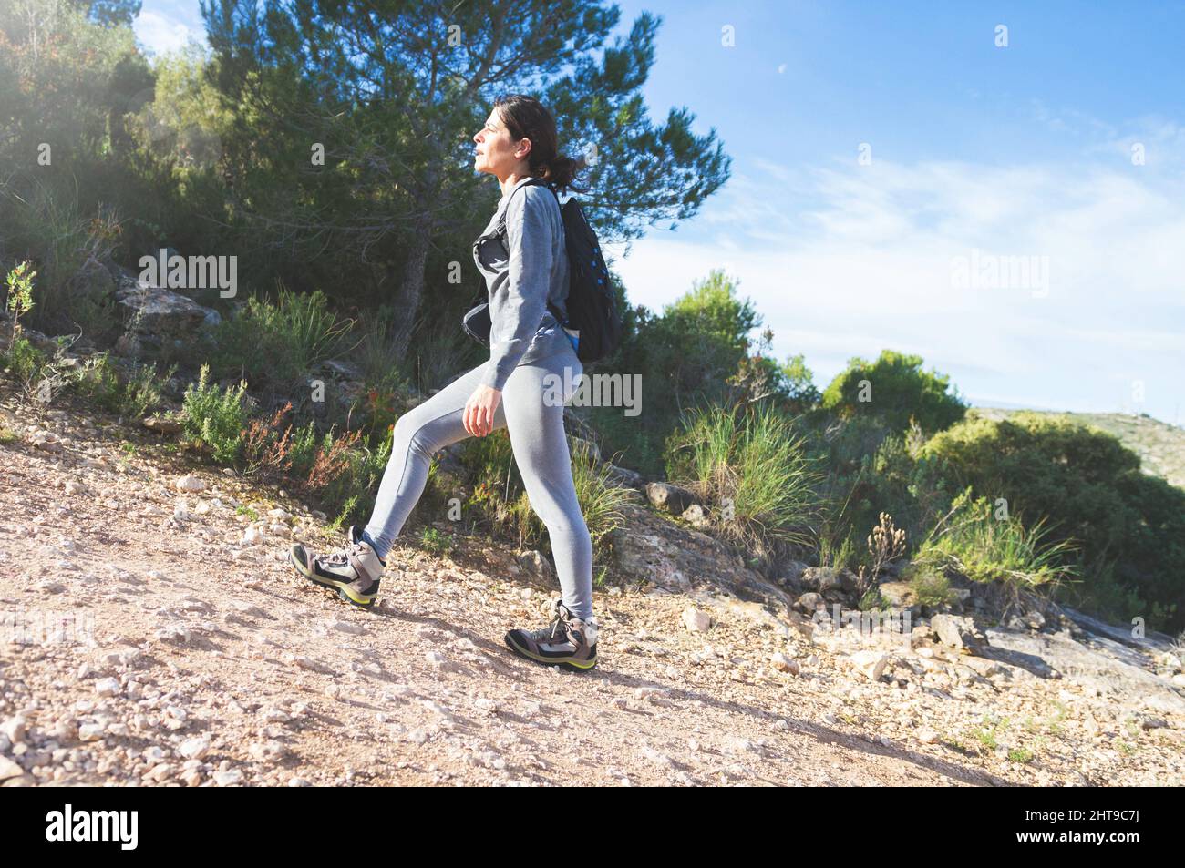 Eine hispanische Hündin, die inmitten der Natur mit Anstrengung einen Hügel besteigen Stockfoto