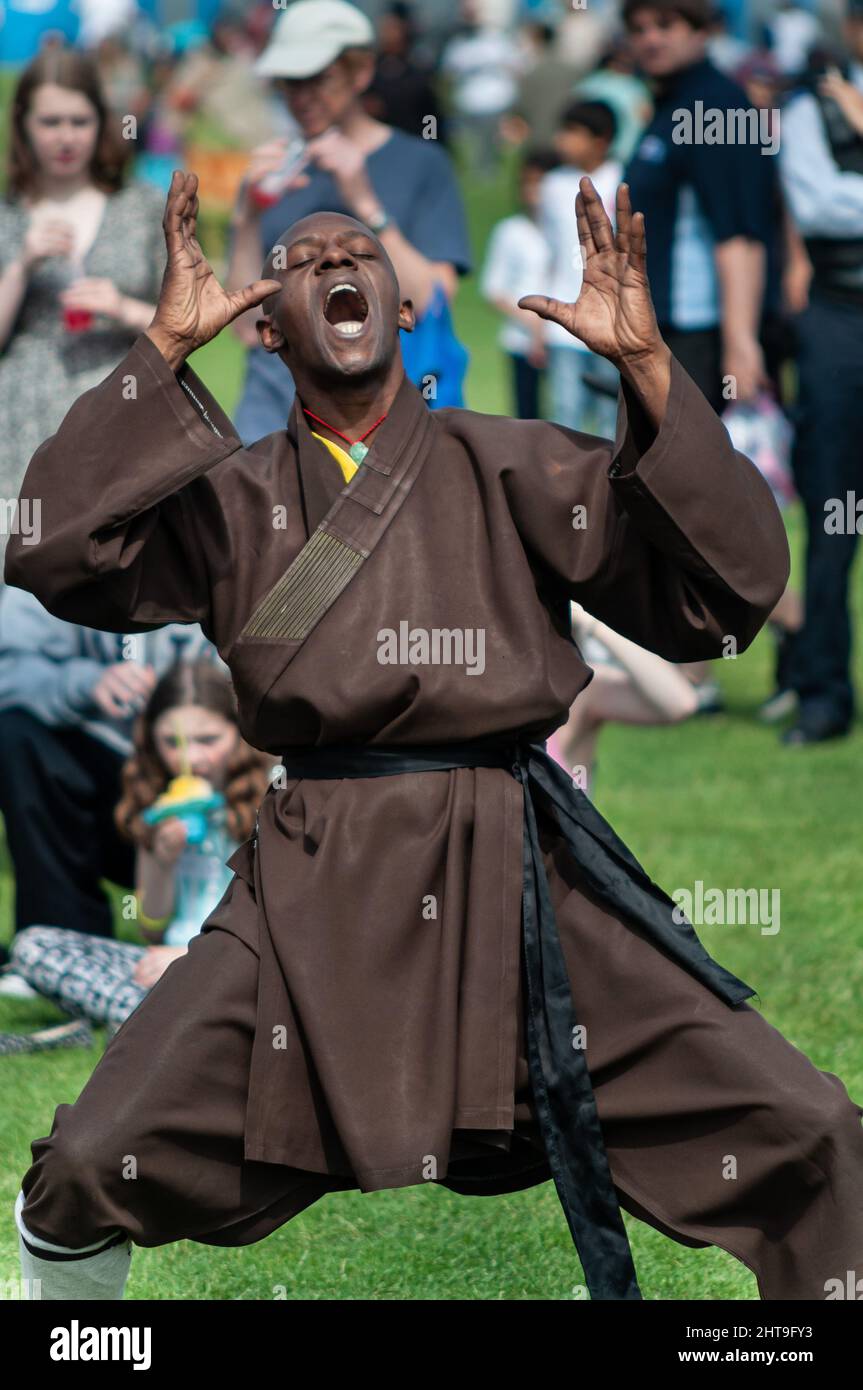 Kung Fu und Tai Chi im Freien in einem Park im Osten Londons Stockfoto