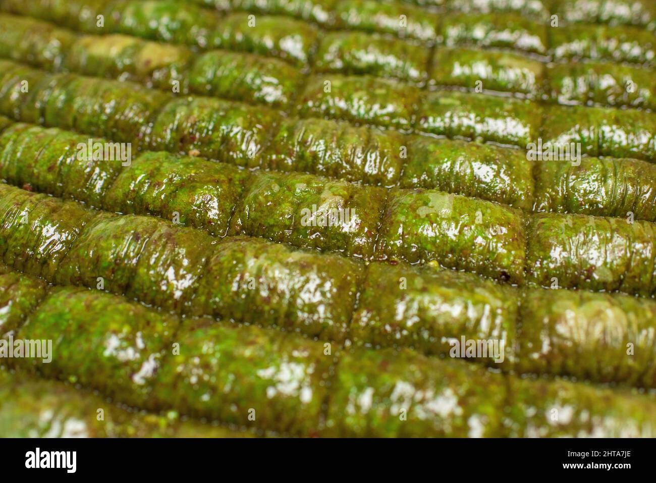 Nahaufnahme der köstlichen traditionellen Pistazien aus dem Nahen Osten Stockfoto