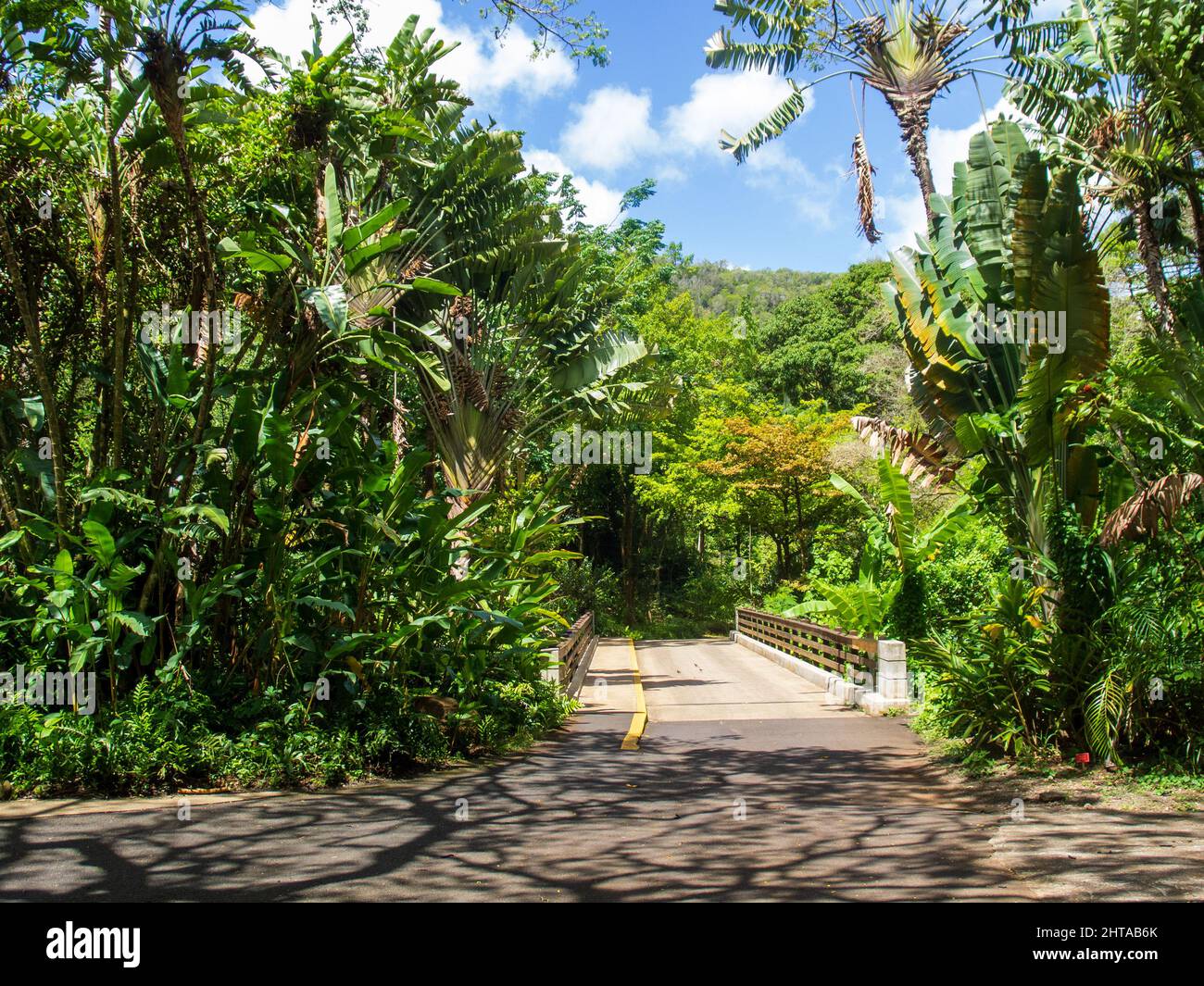Entspannender Pfad und Fußbrücke in einem öffentlichen Gartenbaugarten in Hawaii Stockfoto