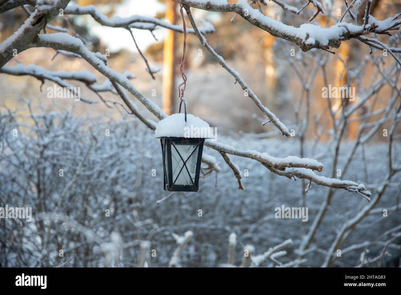 Schöne Aussicht auf eine Laterne Metall mit Schnee zwischen Baumzweigen mit Schnee an einem Wintertag Stockfoto