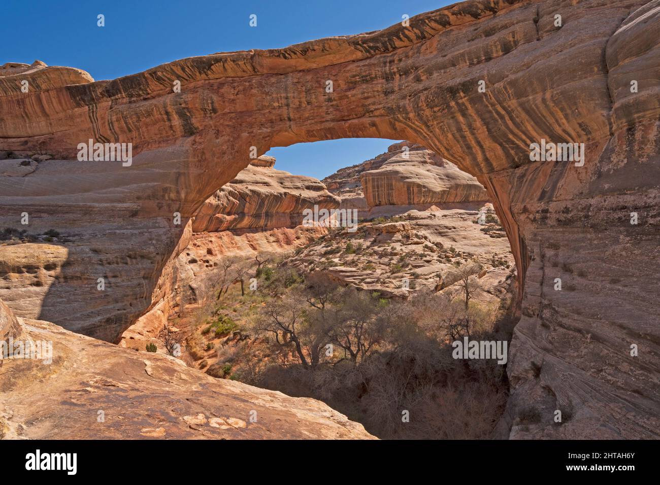 Blick durch das Fenster einer Natural Bridge auf der Sipapu Bridge im Natural Bridges National Park in Utah Stockfoto
