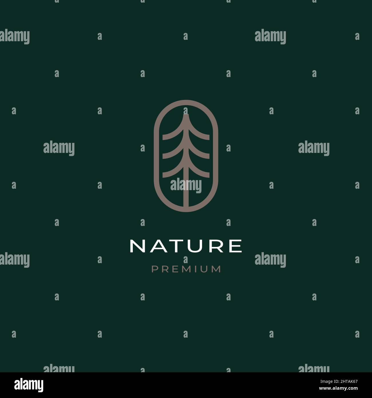 Pine Tree Logo Design Inspiration Vektor Vorlage Stock Vektor