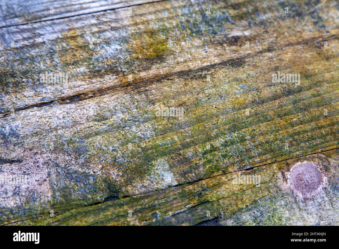 Alte Abstrakte Rauh Verwittert Grunge Holz Hintergrund Textur Plank Paneele Stockfoto