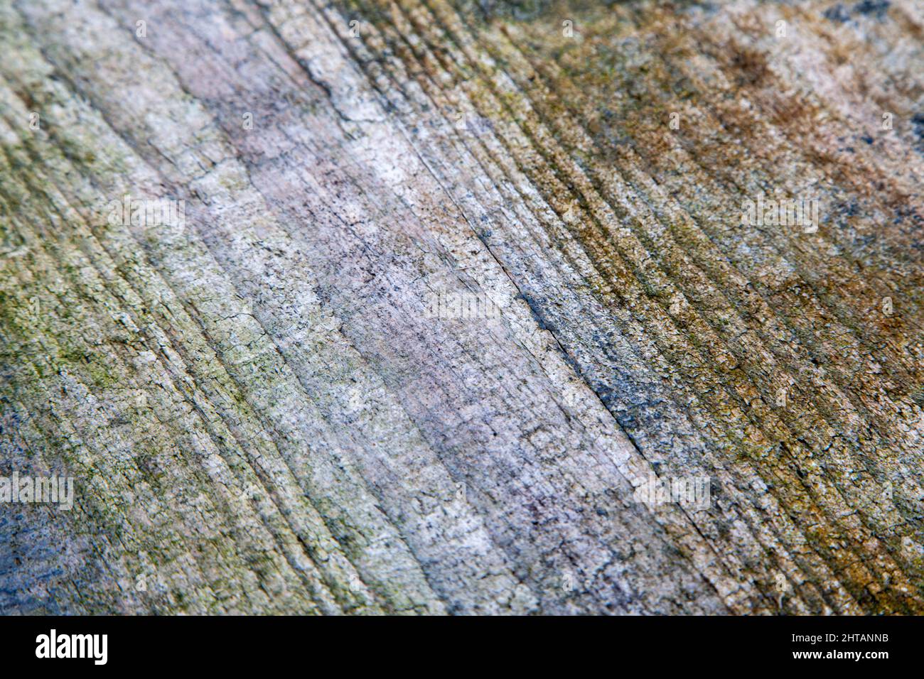 Alte Abstrakte Verwitterte Grunge Holz Muster Textur Hintergrund Plank Paneele. Hochwertige Fotos Stockfoto