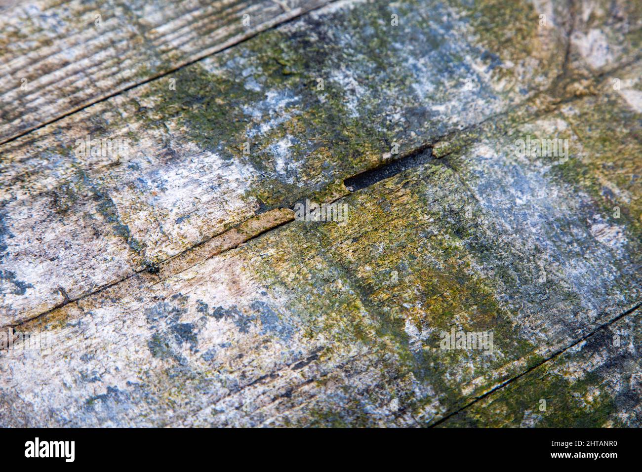 Alte Abstrakte Verwitterte Grunge Holz Hintergrund Textur Plank Paneele Stockfoto