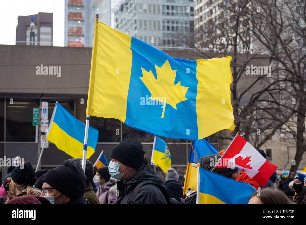 An einem Stand mit dem Ukraine march in Toronto, Ontario, wird eine ukrainisch-kanadische Freundschaftsflagge neben ukrainischer und kanadischer Flagge geflogen. Stockfoto