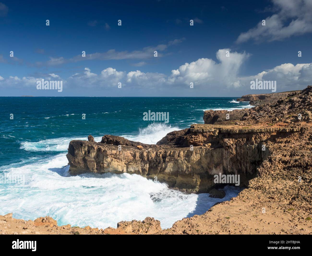 Südlicher Ozean und Klippen über den Whistling Rocks, Streaky Bay, Peninsula Stockfoto